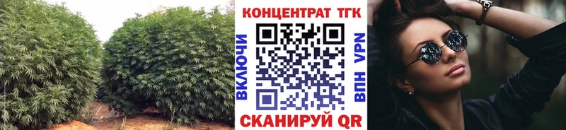 закладка  Нарьян-Мар  Дистиллят ТГК концентрат 