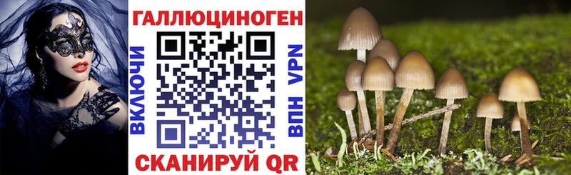 OMG ТОР  Нарьян-Мар  shop телеграм  Псилоцибиновые грибы Cubensis 