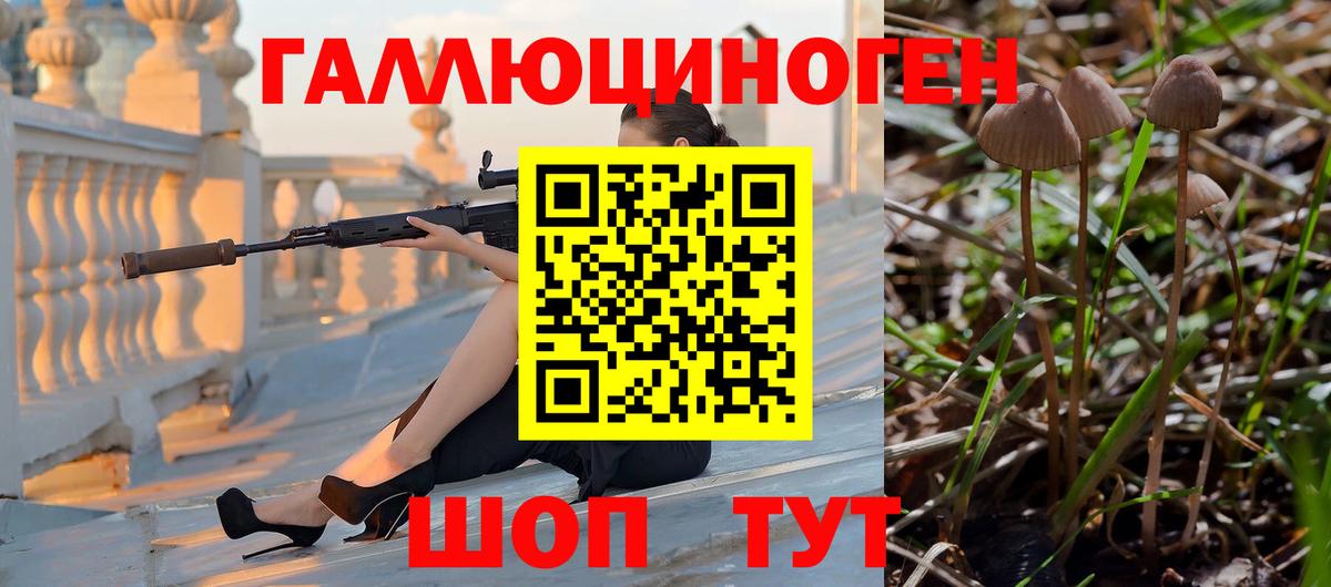 Нарьян-Мар  Псилоцибиновые грибы ЛСД  Вход с VPN 
